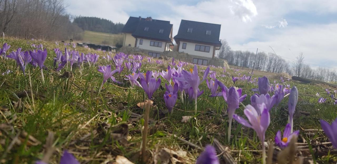 Nowinowe Domki Dzianisz Kültér fotó